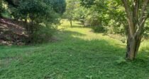Vendo Lote, Cerca A Santa Fe De Antioquia