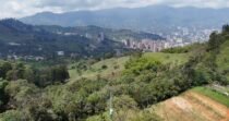 Venta De Lote Campestre En Sabane4ta