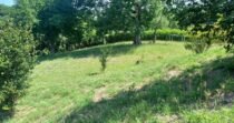 Vendo Lote, Cerca A Santa Fe De Antioquia