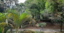 Apartamento En Venta En El Sector Virgen De Carmen Sabaneta