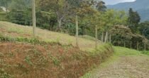 Venta De Lote Campestre En Sabane4ta