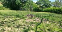 Vendo Lote, Cerca A Santa Fe De Antioquia