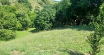 Vendo Lote, Cerca A Santa Fe De Antioquia