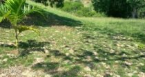 Vendo Lote, Cerca A Santa Fe De Antioquia
