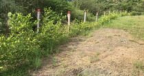 Venta De Lote En Sopetrán Antioquia,  Hermosa Vista Al Cañón Del Rio Cauca.