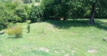 Vendo Lote, Cerca A Santa Fe De Antioquia
