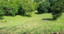 Vendo Lote, Cerca A Santa Fe De Antioquia