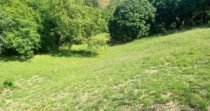 Vendo Lote, Cerca A Santa Fe De Antioquia