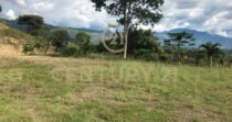VENTA DE LOTE EN LOS SAMANES SOPETRÁN ANTIOQUIA