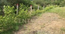 VENTA DE LOTE EN LOS SAMANES SOPETRÁN ANTIOQUIA