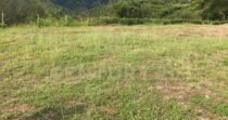 VENTA DE LOTE EN LOS SAMANES SOPETRÁN ANTIOQUIA