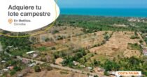VENDO LOTE EN MOÑITOS PARA LA CASA DE TUS SUEÑOS