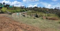 VENDO LOTE EN ESSENZA LA TABLAZA RIONEGRO