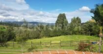 VENDO FINCA EN PIEDRAS BLANCAS GUARNE