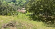 VENDO LOTE EN CONCEPCION, VEREDAD SANTA RITA