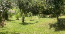 VENDO LOTE EN CONCEPCION, VEREDAD SANTA RITA