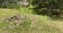 VENDO LOTE EN CONCEPCION, VEREDAD SANTA RITA