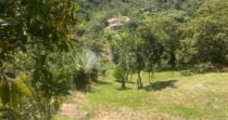VENDO LOTE EN CONCEPCION, VEREDAD SANTA RITA
