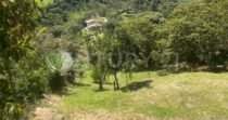 VENDO LOTE EN CONCEPCION, VEREDAD SANTA RITA