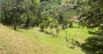 VENDO LOTE EN CONCEPCION, VEREDAD SANTA RITA