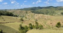 VENDO FINCA 50 HECTAREAS AGROINDUSTRIAL  EN YOLOMBO ANTIOQUIA