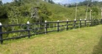 VENDO FINCA 50 HECTAREAS AGROINDUSTRIAL  EN YOLOMBO ANTIOQUIA