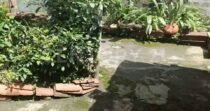 VENDO CASA EN SAN GABRIEL ITAGUI