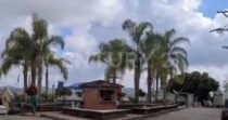 VENDO FINCA 50 HECTAREAS AGROINDUSTRIAL  EN YOLOMBO ANTIOQUIA