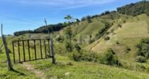 VENDO FINCA 50 HECTAREAS AGROINDUSTRIAL  EN YOLOMBO ANTIOQUIA